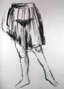Legs and semi-transparent skirt