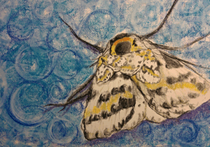 Mothly Cure