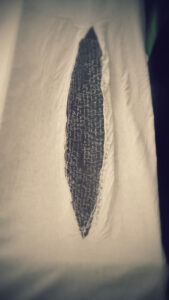 Hanging Dream