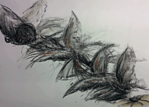 Dance of the Moths