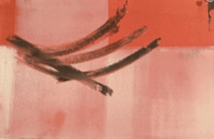 Amorphic Shapes