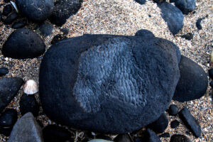 Snakeskin Rock