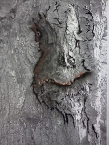 Greenman